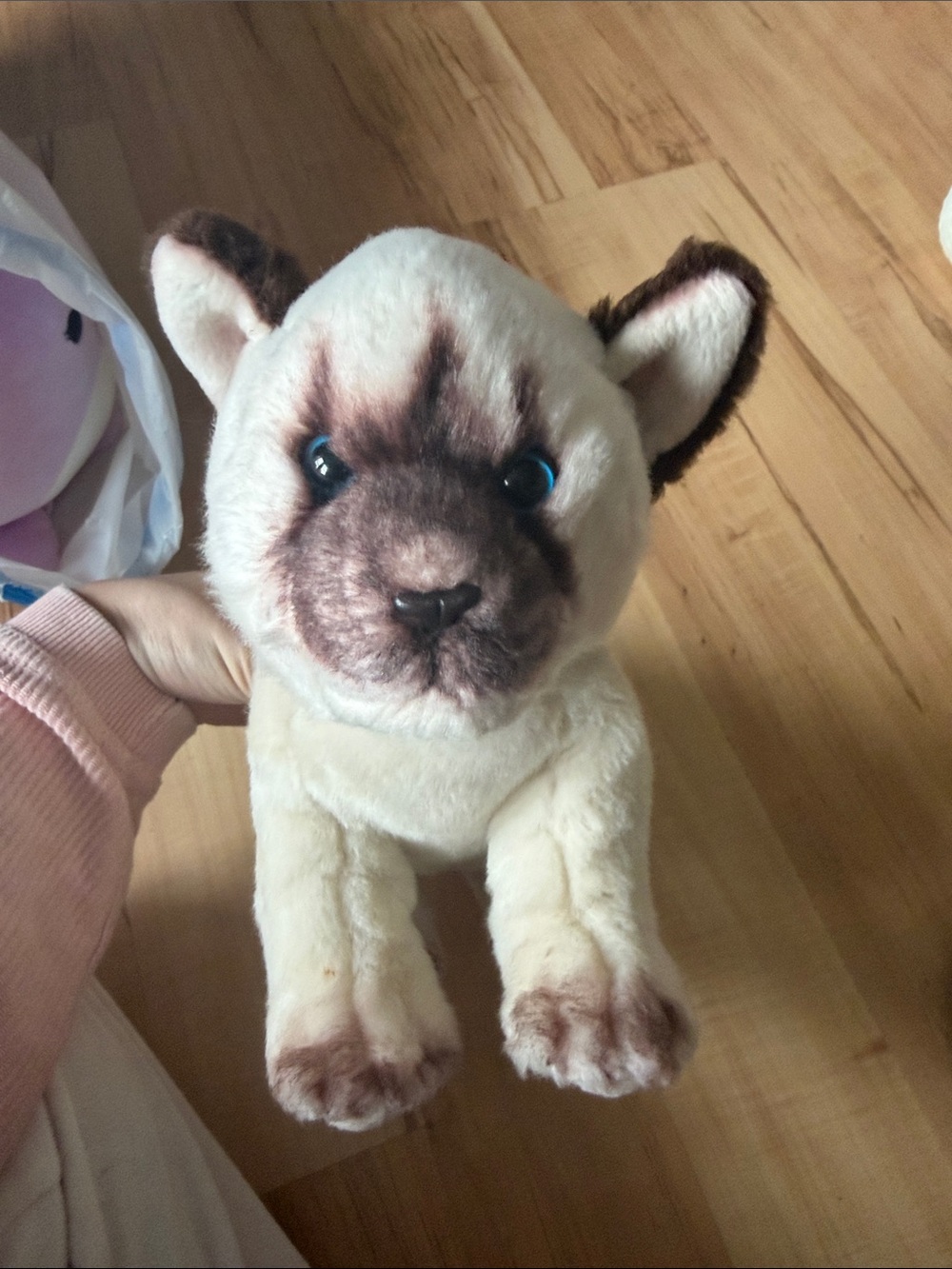 Cream and Brown Plush Cat Stuffed Animal - Soft Cuddly Toy